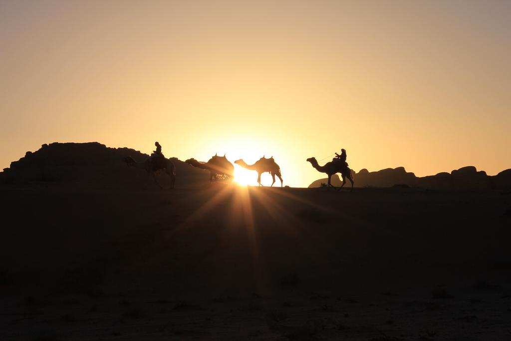 Wadi Rum Sleep Under The Stars 외부 사진